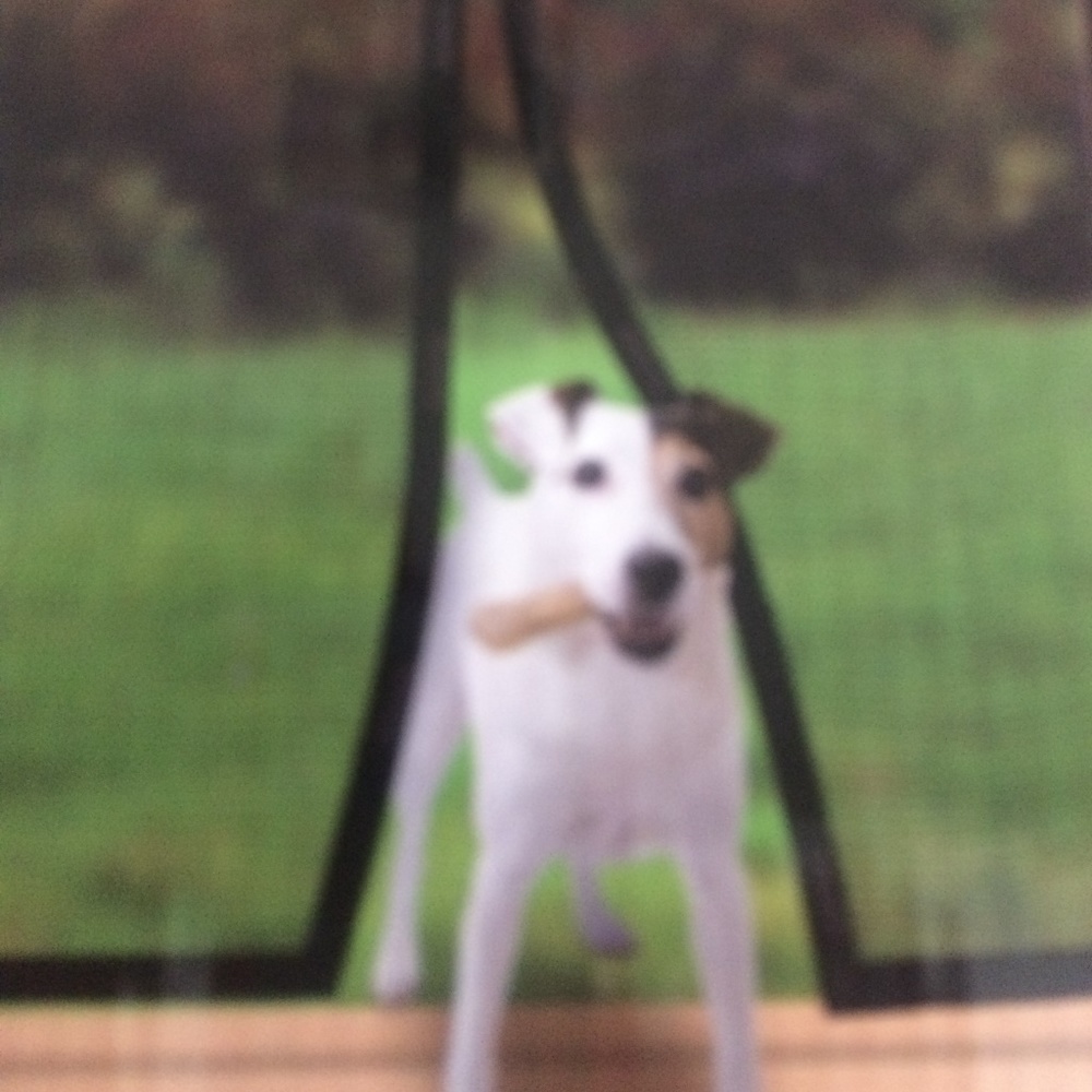 door screen keep the bugs out